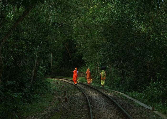 Three women in colorful saris walk along a curved railway track through a dense, green forest.