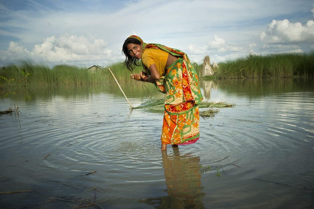 A woman in a colorful sari stands in a flooded field, gathering reeds with a stick under a cloudy sky.