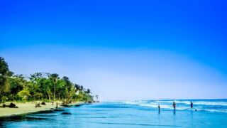 Private boat rental in Bangladesh A beautiful tropical beach with trees, sand, and people enjoying the ocean on a bright, sunny day.