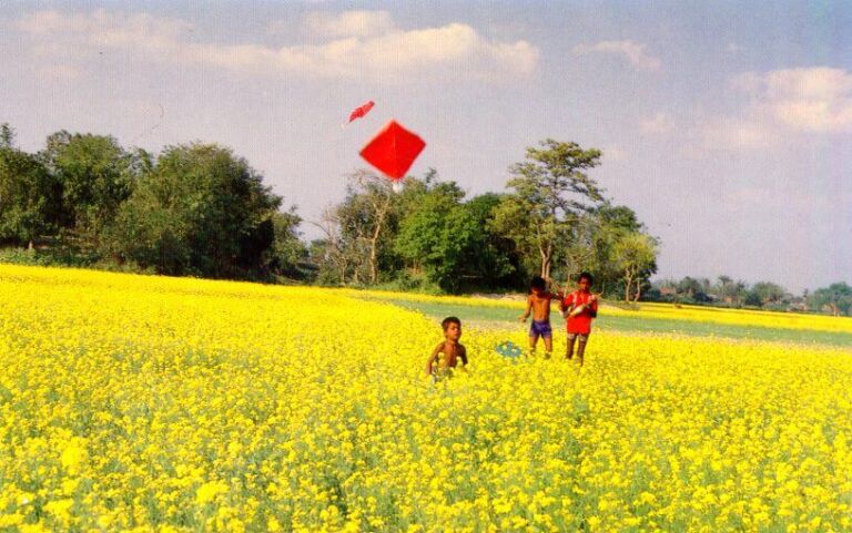 Three children play in a field of yellow flowers while flying a red kite under a cloudy sky.