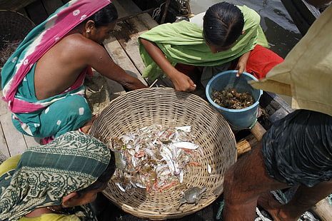 Four people are sorting a large catch of fish and shellfish in a large woven basket and a blue bucket on what appears to be a wooden boat.