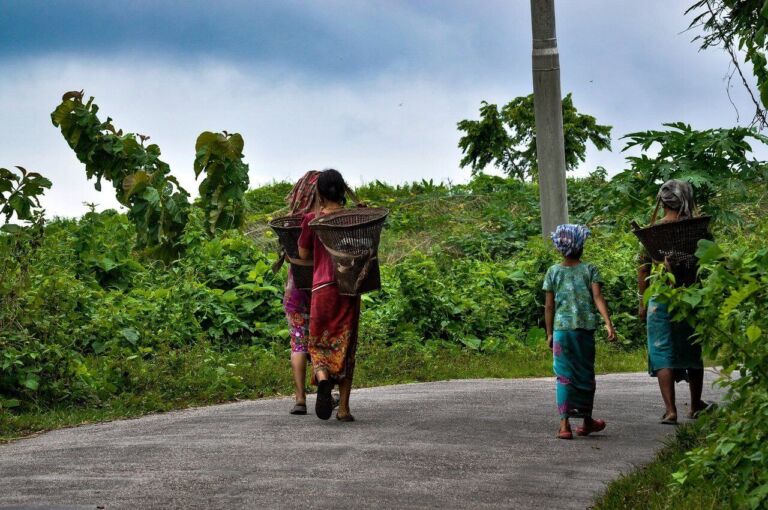 A group of women walks away on a rural road, each carrying a basket on her back, amidst lush greenery and a cloudy sky.