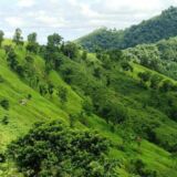 Bangladesh’ tropical beaches and green hills exploration: 8 days