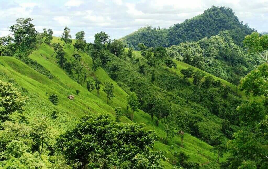 Lush green hills covered with vegetation, creating a scenic landscape with a small hut nestled on the slope.