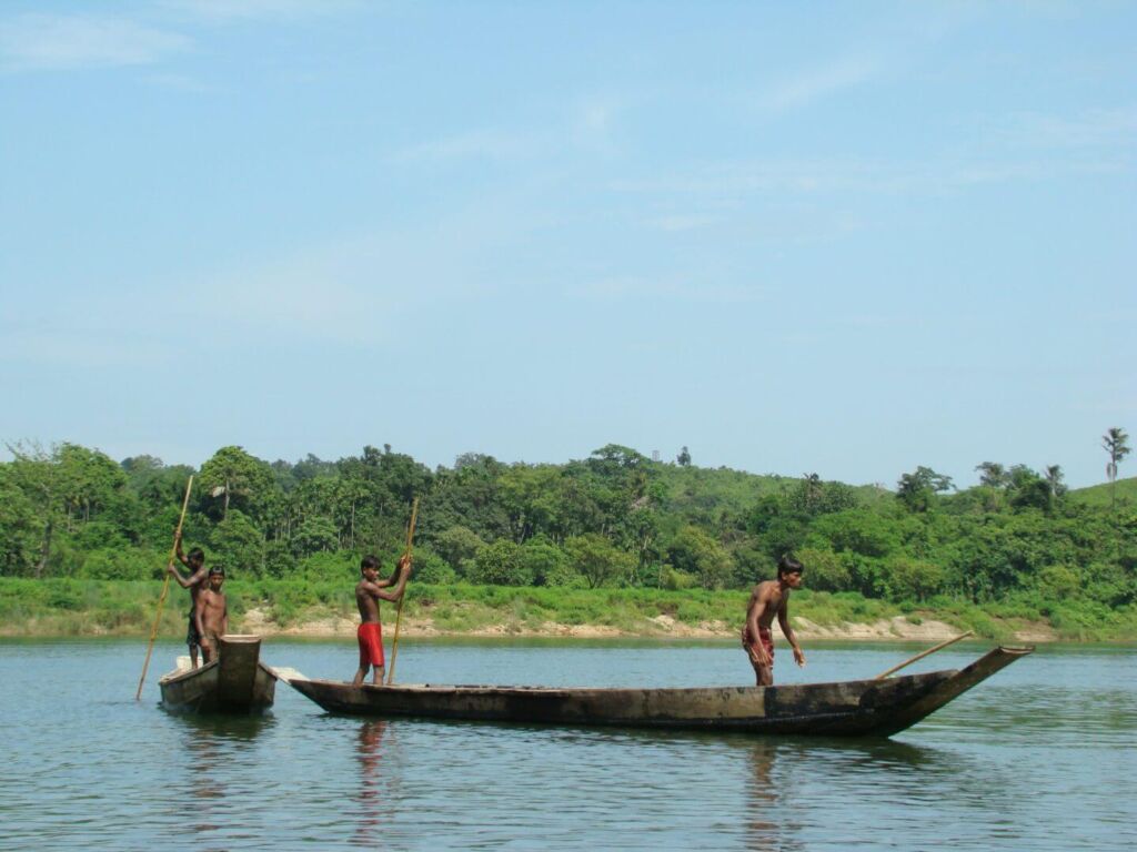 Three boys stand in wooden boats, using poles to navigate through the water, with lush greenery and a blue sky in the background.