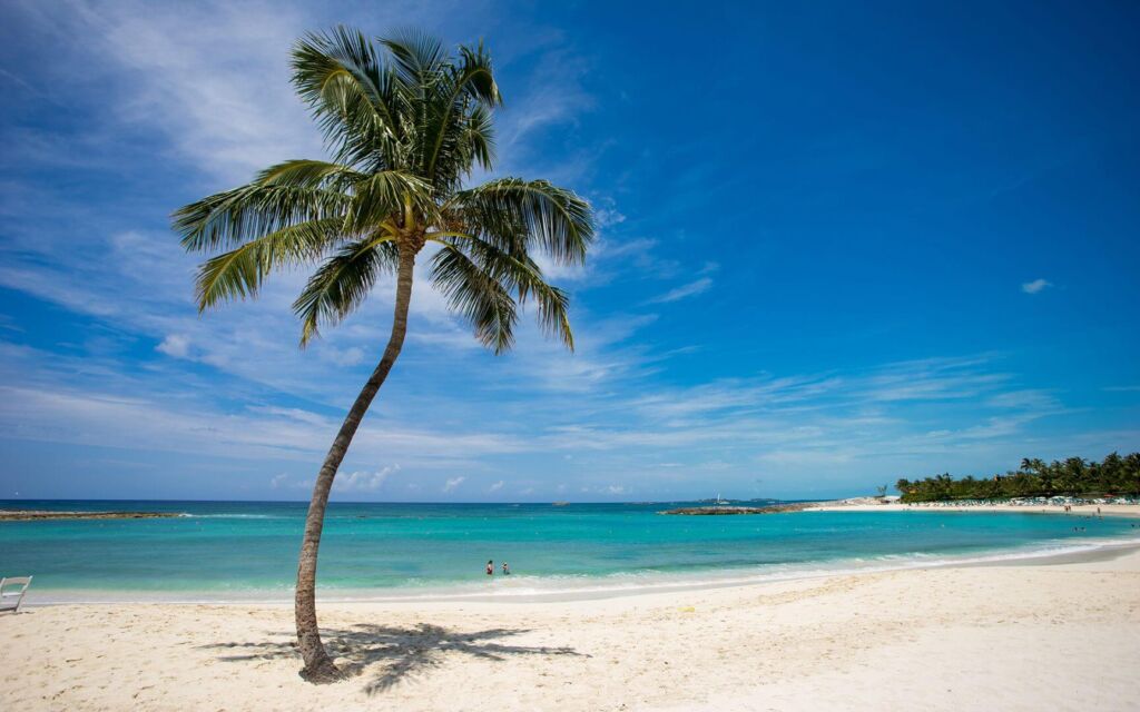 A picturesque tropical beach scene with a leaning palm tree casting a shadow on the white sand, turquoise water, and a clear blue sky with scattered clouds.