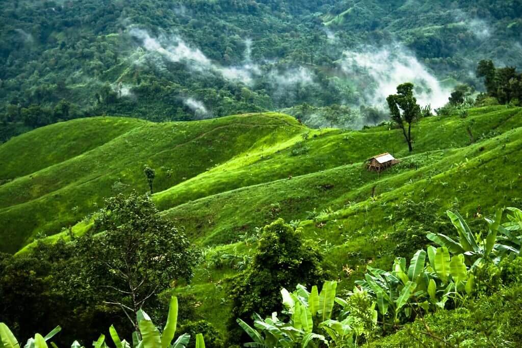 A lush, green hillside with a small hut sits peacefully amidst rolling hills, misty valleys, and tropical foliage.