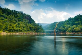 A serene river flows between lush green hills under a partly cloudy sky, with a bare tree trunk rising from the water.