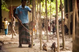 Otter Fishing At Narail In a rural scene, a man in a sarong and blue shirt leads two otters on leashes through a yard with thin trees, as several children observe in the background.