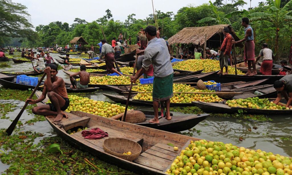 A bustling river scene shows many boats laden with yellow and green fruits, presumably a harvest being transported by locals amidst lush greenery and simple dwellings.