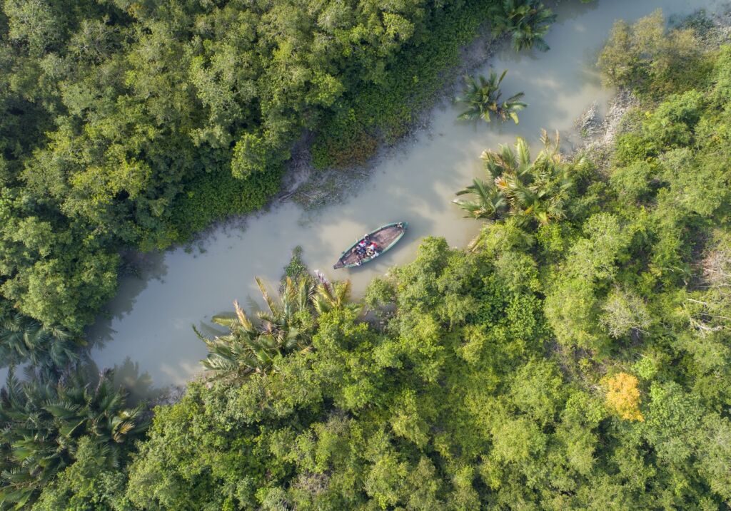 An aerial view captures a boat carrying several people navigating a narrow waterway surrounded by lush green trees and vibrant palm plants.