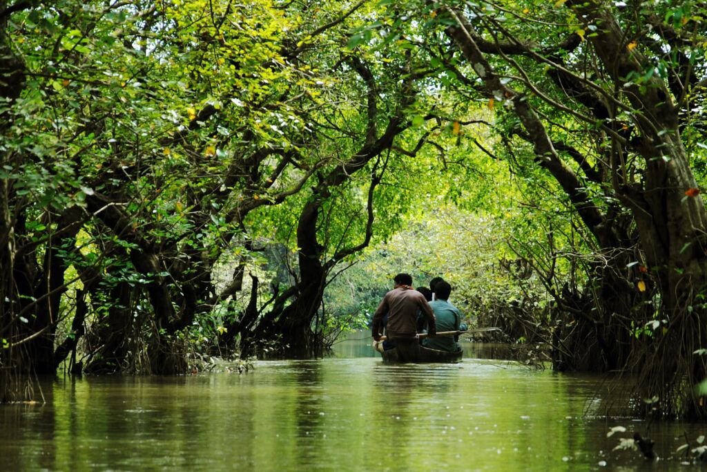 Two people paddle a small boat through a narrow waterway flanked by lush green trees, creating a peaceful and natural scene.